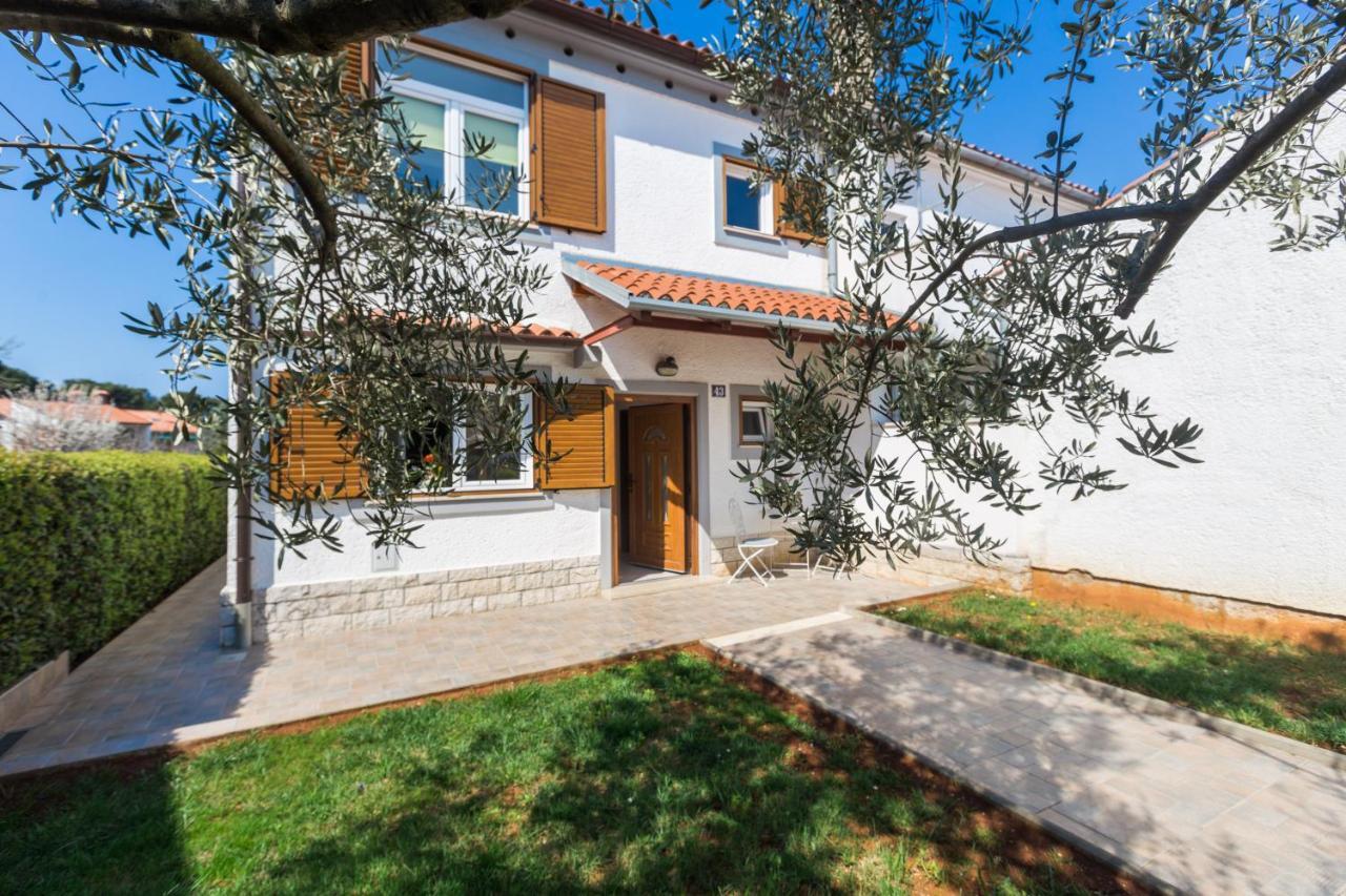 House Oliva